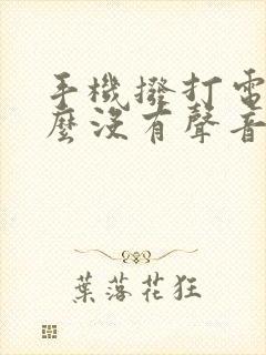 手机拨打电话怎么没有声音