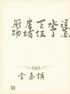 厨房下水道被硬物堵住了怎么办