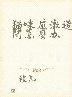 猫咪应激造成尿闭怎么办