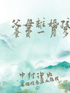 父母离婚孩子抚养费一月多少钱