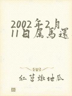 2002年2月11日属马还是蛇