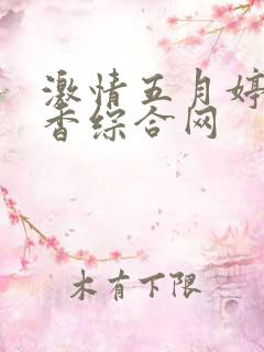 激情五月婷婷丁香综合网