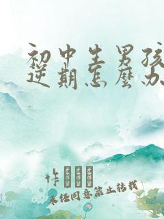 初中生男孩子叛逆期怎么办