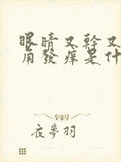 眼睛又干又涩眼角发痒是什么原因