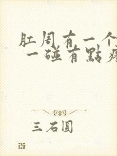 肛周有一个疙瘩 一碰有点疼