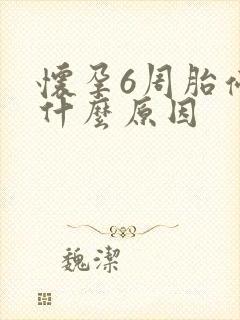 怀孕6周胎停是什么原因