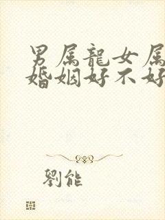 男属龙女属猴的婚姻好不好
