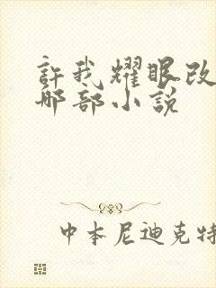 许我耀眼改编自哪部小说