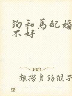 狗和马配婚姻好不好