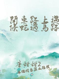 开车路上遇到一条蛇过马路好不好