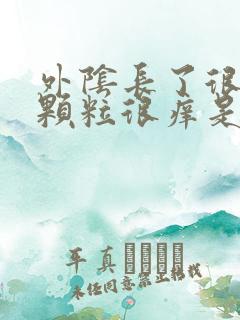 外阴长了很多小颗粒很痒是怎么回事