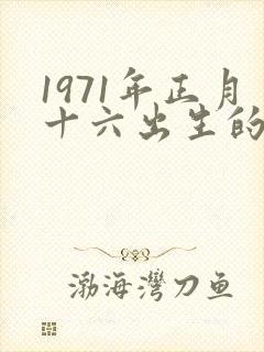 1971年正月十六出生的命运如何