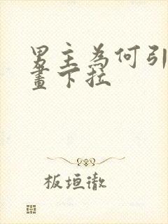 男主为何引我漫画下拉