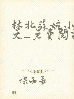 林北苏婉小说全文_免费阅读