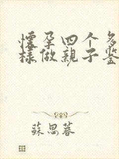 怀孕四个多月怎样做亲子鉴定