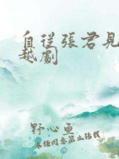 自从张君见一面越剧