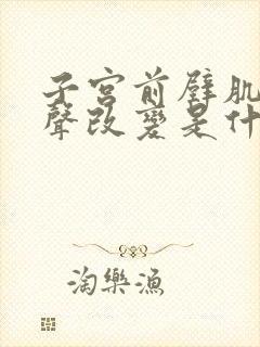 子宫前壁肌层回声改变是什么意思