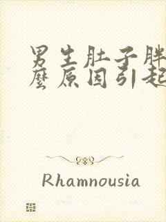 男生肚子胖是什么原因引起的