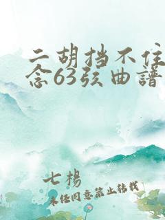 二胡挡不住的思念63弦曲谱