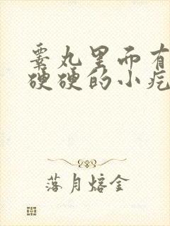 睾丸里面有两个硬硬的小疙瘩