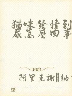 猫咪发情到处乱尿怎么回事啊