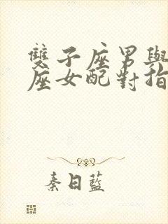 双子座男与摩羯座女配对指数