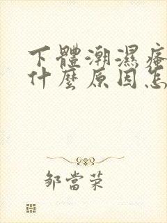 下体潮湿瘙痒是什么原因怎么解决