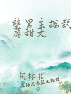 双男主总裁文推荐甜文