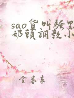 sao货叫骚点奶头调教小说