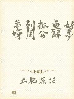 梦到抓鱼好不好呀周公解梦