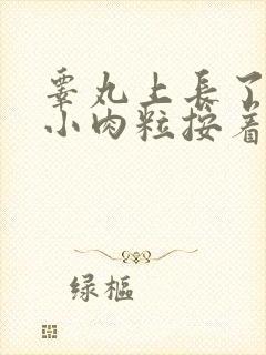 睾丸上长了一个小肉粒按着疼