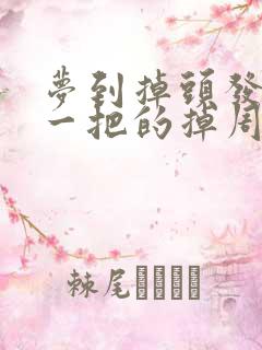 梦到掉头发一把一把的掉周公解梦