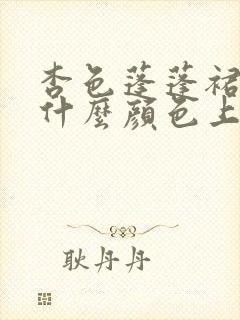 杏色蓬蓬裙子配什么颜色上衣好看