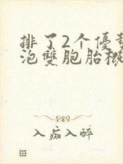 排了2个优势卵泡双胞胎概率