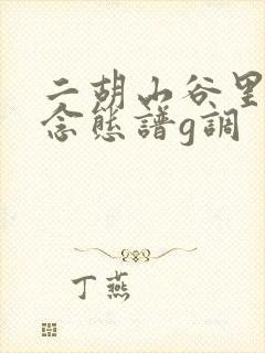 二胡山谷里的思念态谱g调