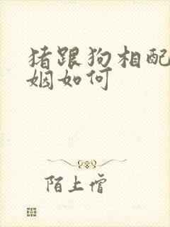 猪跟狗相配吗婚姻如何