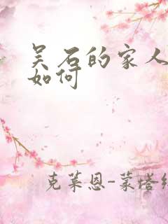 吴石的家人结局如何