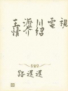 王沥川电视剧剧情介绍