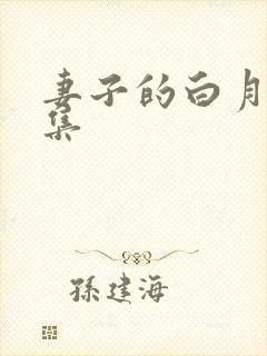 妻子的白月光全集