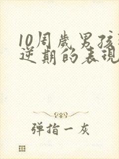 10周岁男孩叛逆期的表现