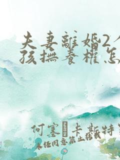 夫妻离婚2个小孩抚养权怎么判