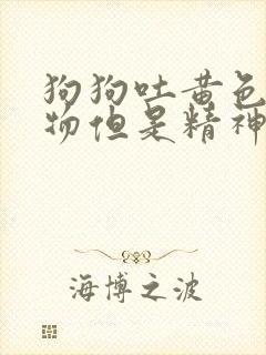 狗狗吐黄色粘稠物但是精神好