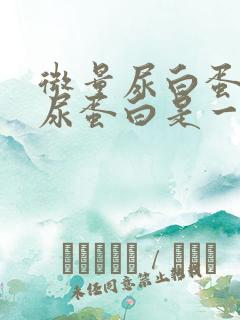 微量尿白蛋白和尿蛋白是一样吗