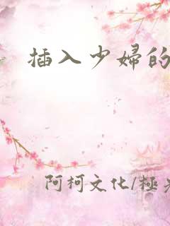 插入少妇的穴