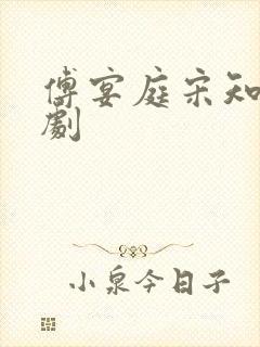 傅宴庭宋知洛短剧