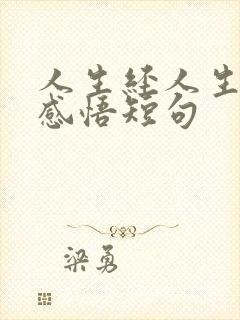 人生经人生经历感悟短句