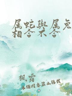 属蛇与属兔的属相合不合