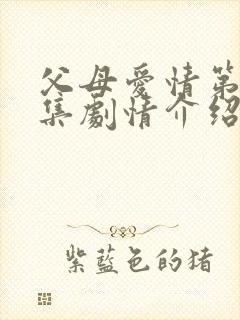 父母爱情第十二集剧情介绍