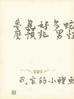 梦见好多蛇是什么预兆 男性