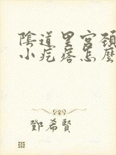 阴道里宫颈口有小疙瘩怎么回事